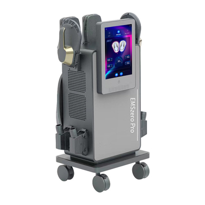 دستگاه شکل دادن بدن EMS با RF EMS 4 دسته با بالش